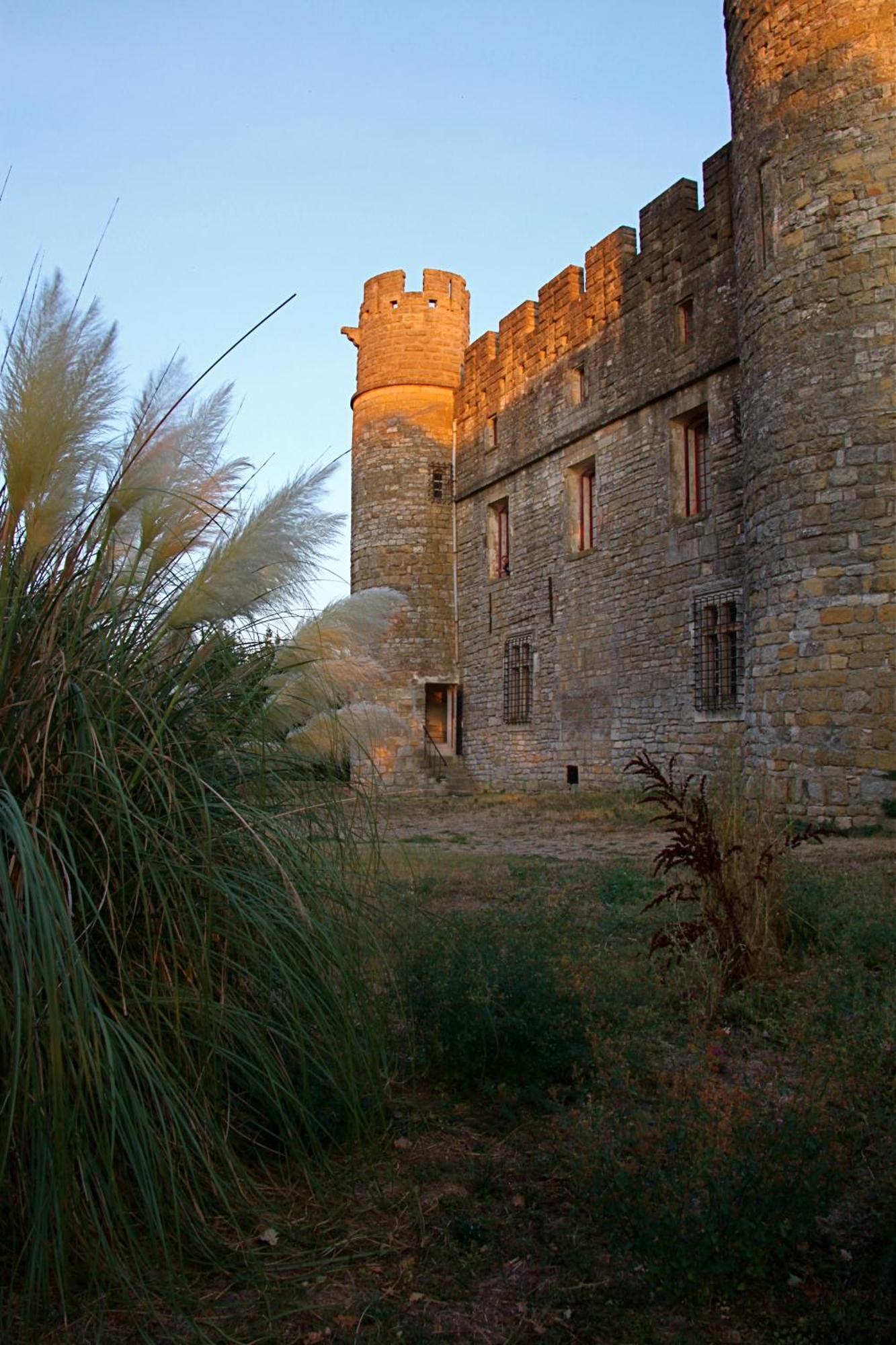 Chateau de Castelnau Valence Valence  Exterior foto